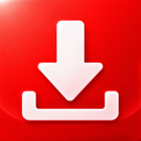 all video downloader pro for pc