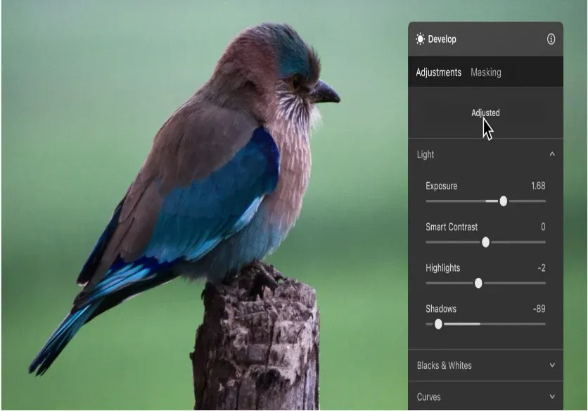 luminar neo download