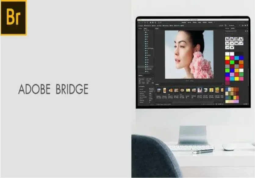 Adobe Bridge 2026 Free Download For PC