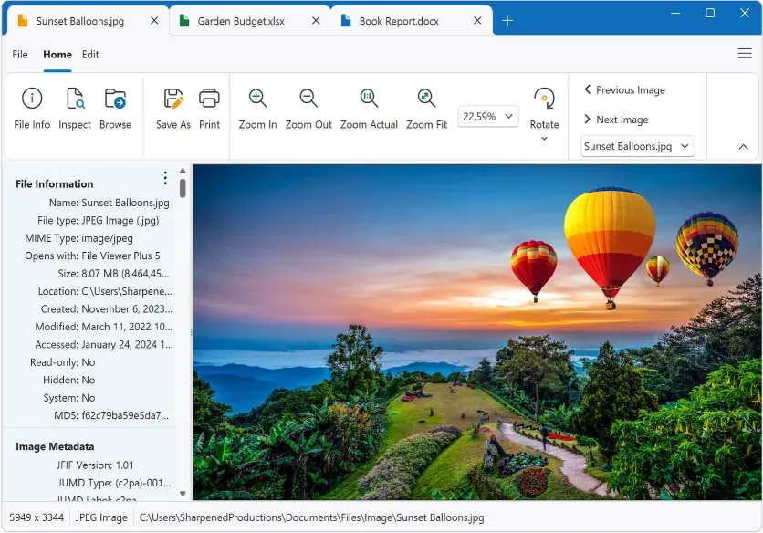 File Viewer Plus Free Download For PC