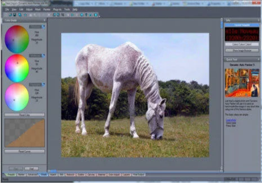 MediaChance Dynamic Auto Painter Pro Free Download