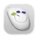 ShareMouse Enterprise Download