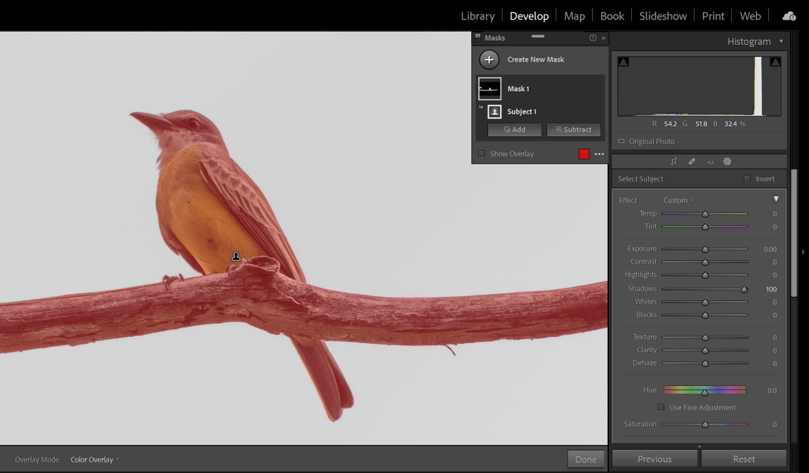 00iqycjvvnfgznao9xsfar2-73-fit_lim-size_1152x-6383607