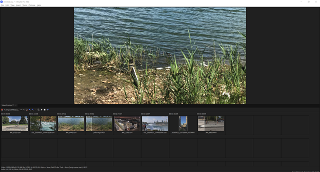 019pqtkgodjmd9tozl99wsa-2-fit_lim-size_768x-5172535