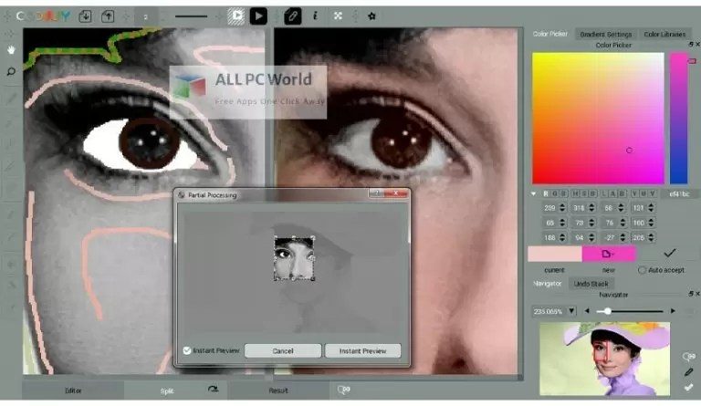 codijy-colorizer-pro-4-free-download-7602943