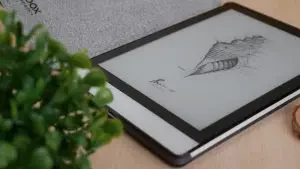 p1080124-300x169-2818025