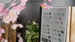 p1080569-300x169-1871837