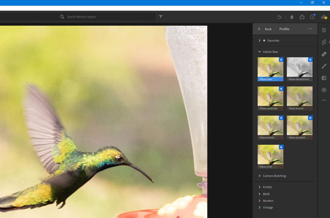 078zcpd44mbvt76ogoex7g3-95-fit_lim-size_1152x-2462581