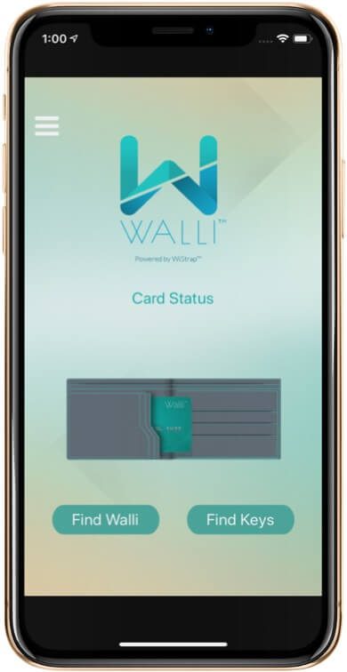 find-wallet-using-wallet-app-3173530