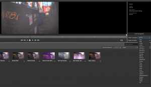 sapphire-ocio-in-freelens-300x173-1101374