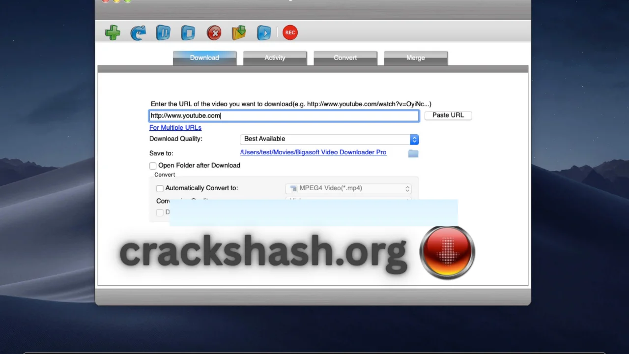 Bigasoft Video Downloader Pro Free Download