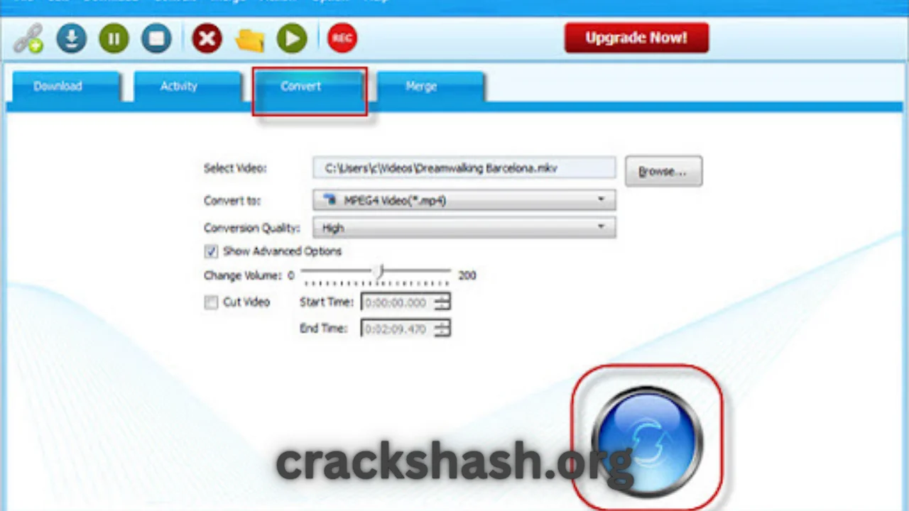 Bigasoft Video Downloader Pro Full Version