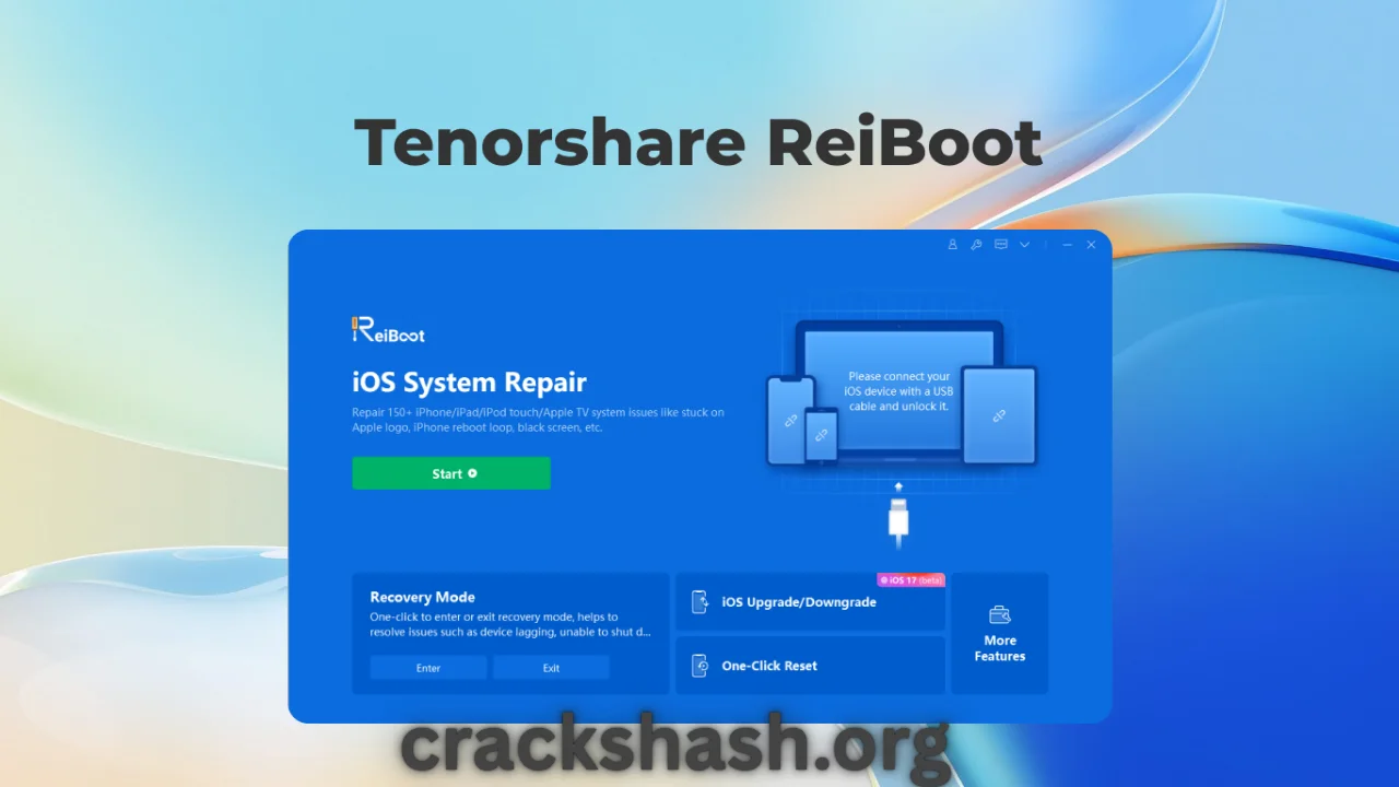 Tenorshare ReiBoot Pro Full Version