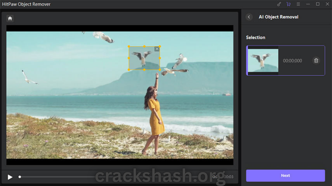 HitPaw Video Object Remover Full Version