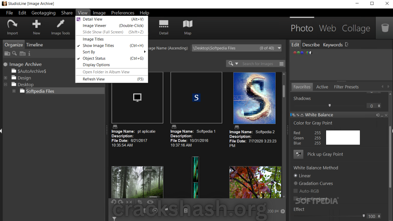StudioLine Web Designer Free Full Version