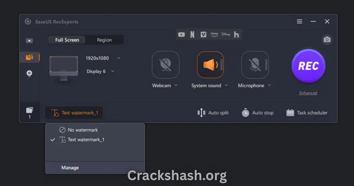 EaseUS RecExperts Pro
