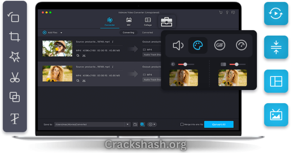 Vidmore Video Converter