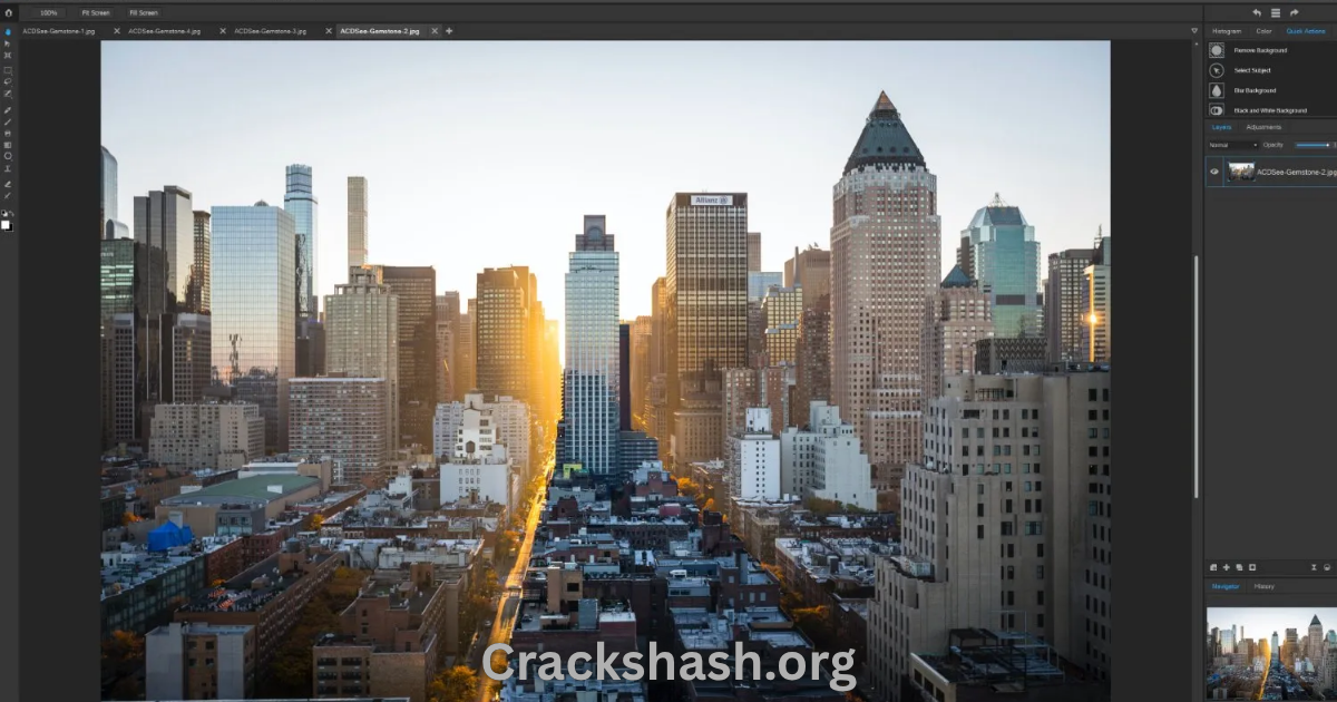 ACDSee Gemstone Photo Editor