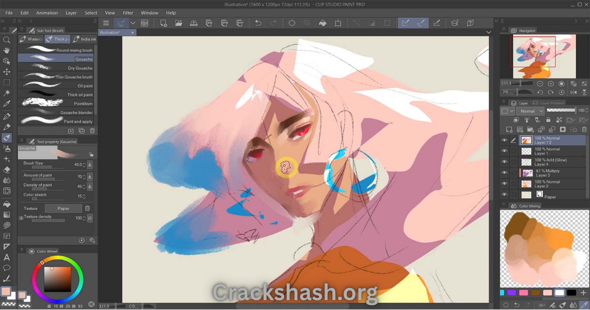 Clip Studio Paint EX 4.0.3 Download Free PC Free Download - CracksHash Clip Studio Paint EX