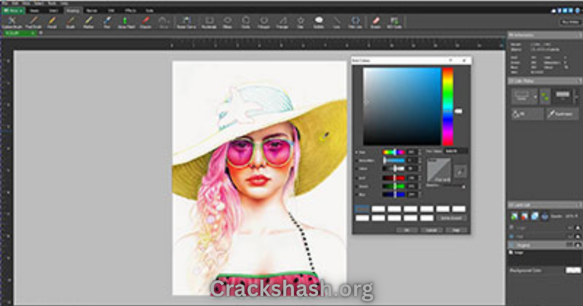 NCH DrawPad Pro