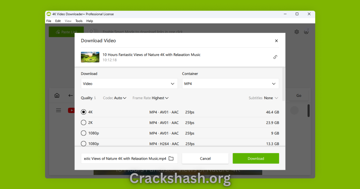4K Video Downloader Plus